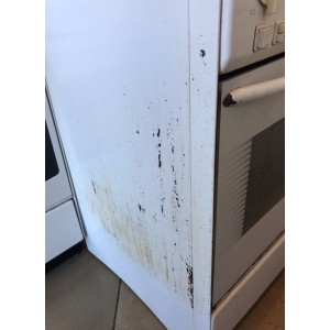 Használt Acanta Lux gáztűzhely [H1766] 