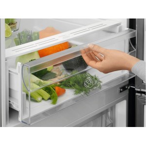 Electrolux LNT5MF32U0 Alulfagyasztós hűtőszekrény