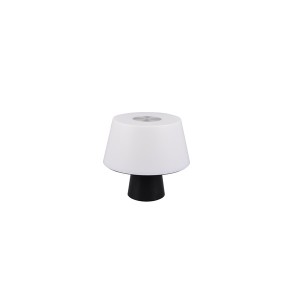 TRIO R52041142 DJ 4,5W 600LM állítható színhőmérséklettel fekete asztali lámpa 