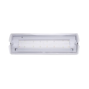 Iris Lighting I820EMEX3H3W IP65 3w 3h oldalfali biztonsági és irányfény lámpatest 