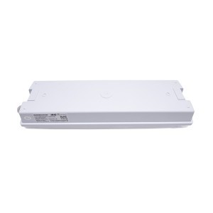 Iris Lighting I820EMEX3H3W IP65 3w 3h oldalfali biztonsági és irányfény lámpatest 