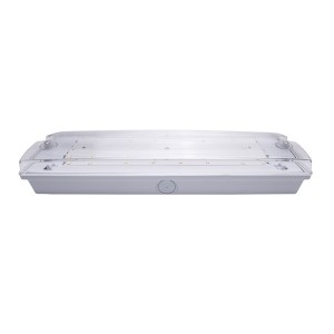 Iris Lighting I820EMEX3H3W IP65 3w 3h oldalfali biztonsági és irányfény lámpatest 
